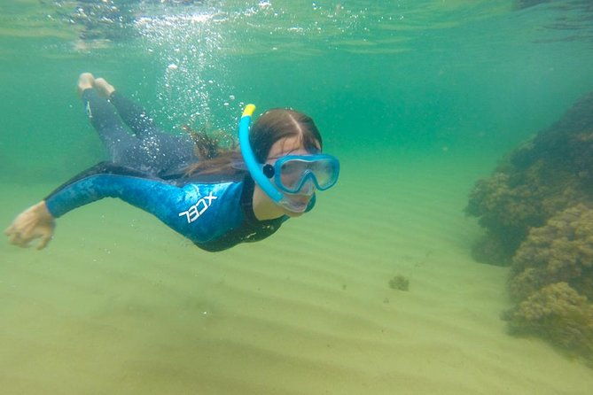 kayak-route-snorkel-in-cantabria