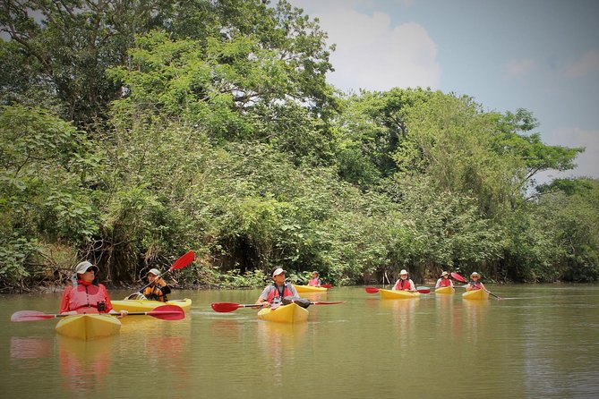 kayak-safari
