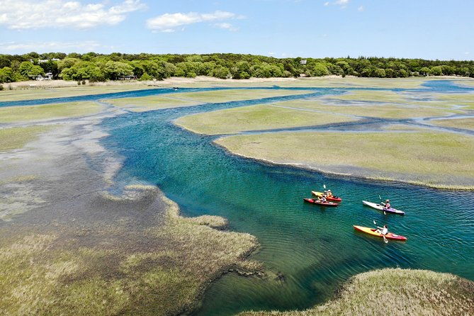 kayak-the-creek-nature-tour-2