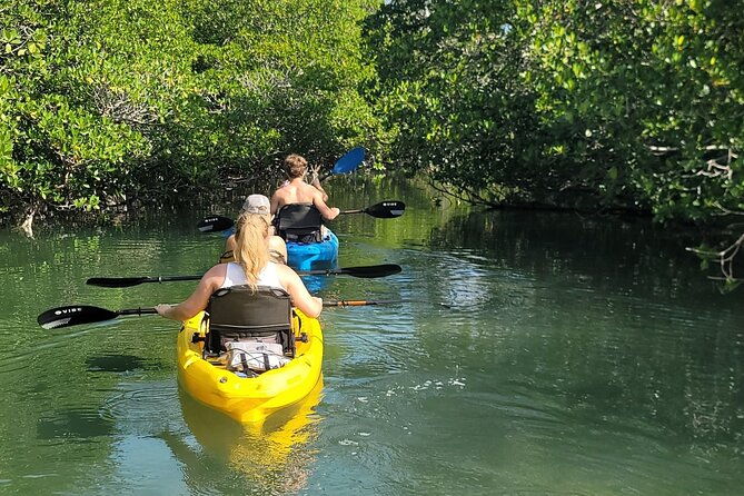 kayak-through-mangrove-forests-in-the-florida-keys