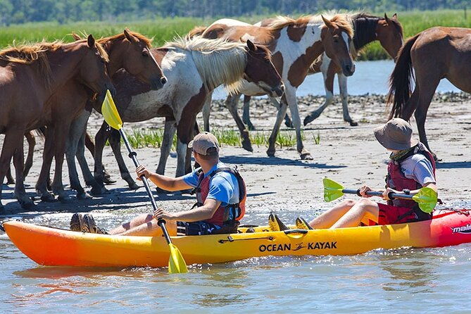 kayak-tour-along-assateague-chincoteague-island-virginia-2