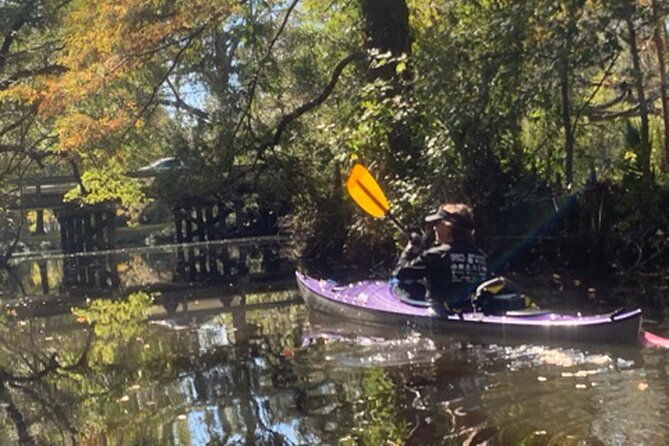 kayak-tour-of-the-honey-island-swamp-and-backwaters
