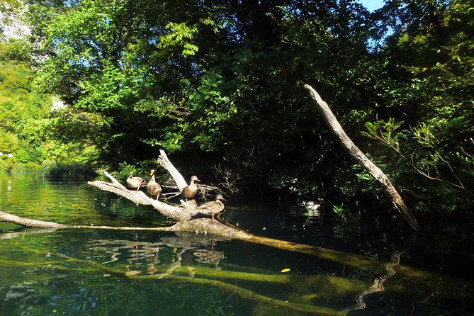 kayaking-and-snorkeling-in-omis