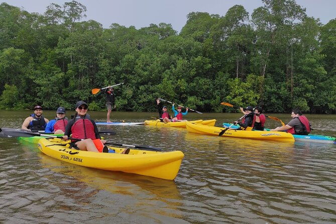 kayaking-tour-in-gandoca-lagoon-throug-mangrove-forest