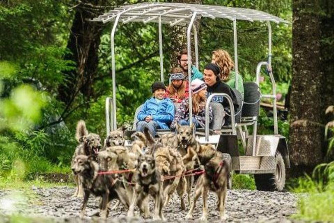 kennel-tour-and-dog-sled-ride