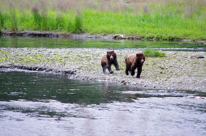 ketchikan-backcountry-driving-tour-through-the-tongass