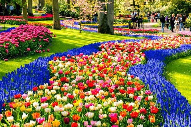 keukenhof-skip-the-line-tickets-countryside-farm-private-tour
