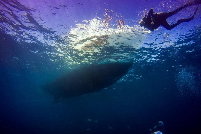 key-largo-2-tank-dive-trip