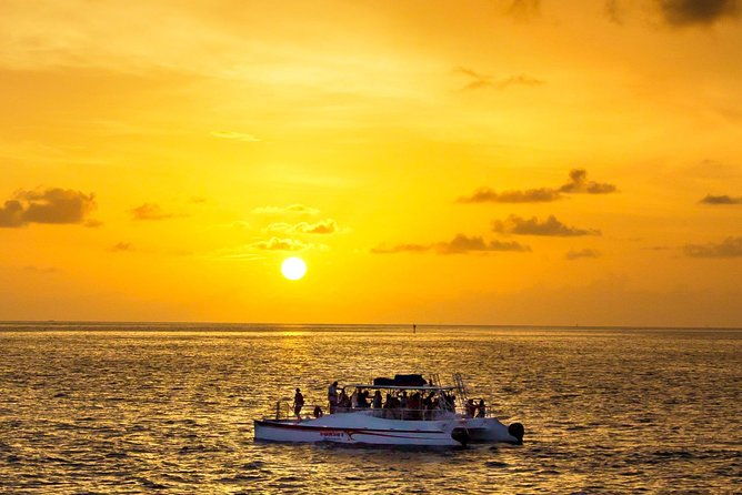 key-west-dolphin-and-snorkel-experience