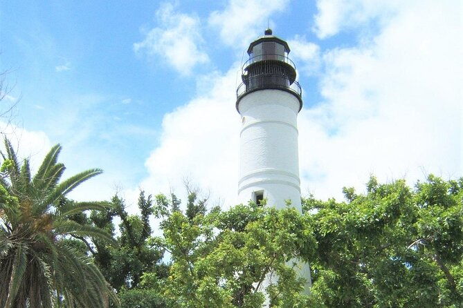 key-west-dolphin-watching-cruise-snorkeling-unlimited-beer-soda