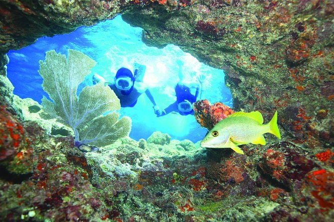 key-west-reef-snorkel-morning-mimosas-or-afternoon-margaritas