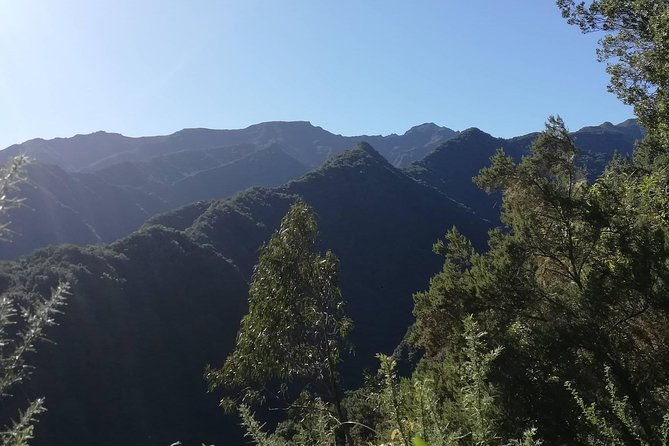 kings-levada-sao-jorge