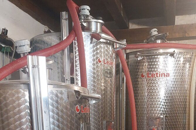 korcula-for-wine-lovers-posip-and-grk-wines-private-tour