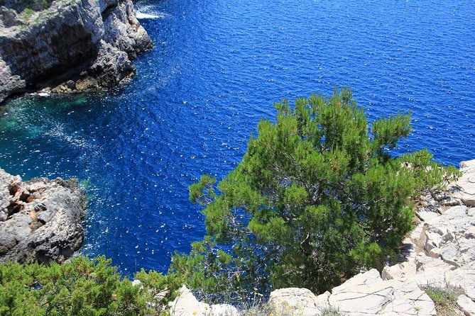 kornati-by-speed-boat