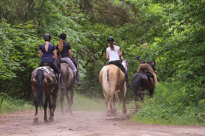 kusadasi-horse-riding-beach-and-forest-with-transfer-2