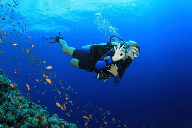 kusadasi-scuba-diving-tour-by-local-experts