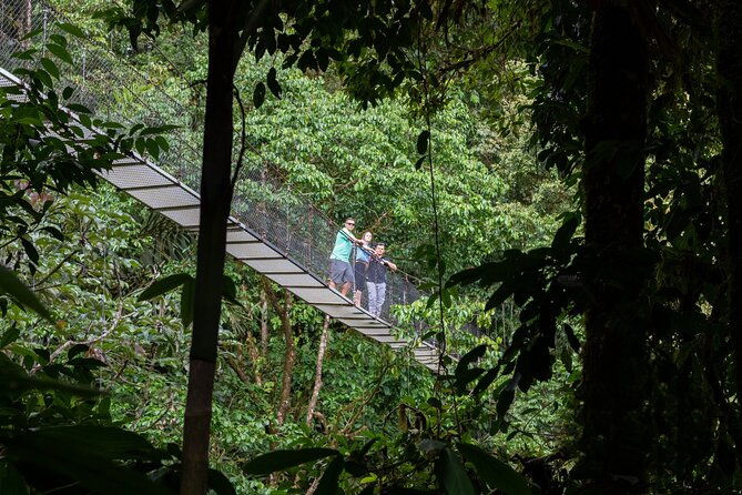 la-fortuna-arenal-hanging-bridges-hiking-tour