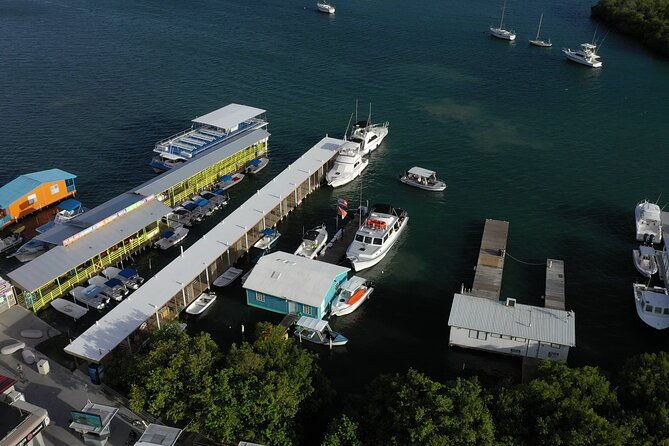 la-parguera-glowing-bioluminescent-bay-boat-tour-from-san-juan
