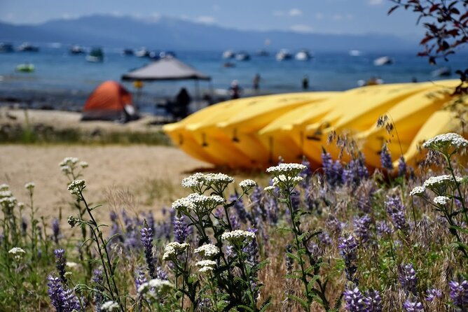 lake-tahoe-north-shore-kayak-or-stand-up-paddleboard-rental