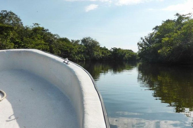 lamanai-temples-river-wildlife-tour