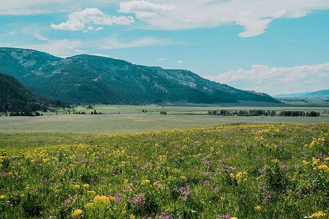 lamar-river-valley-day-hike-tour
