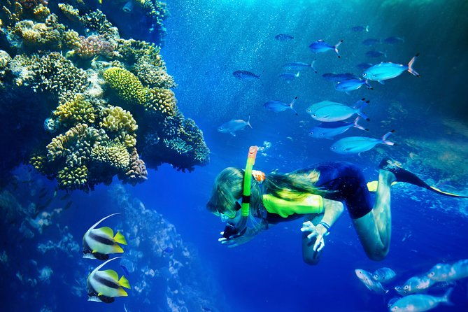 lanai-snorkel-and-dolphin-watch-from-maalaea