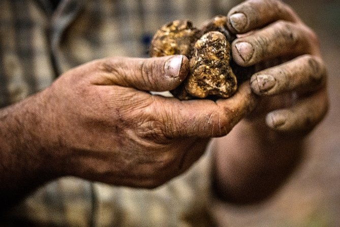 langhe-truffle-hunting-experience