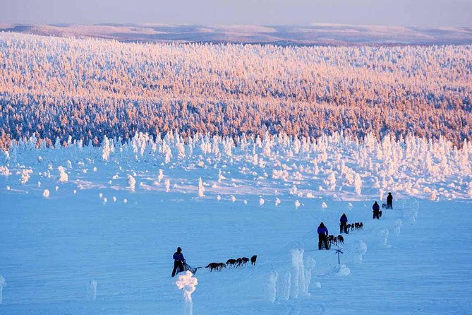lapland-husky-safari-from-saariselka