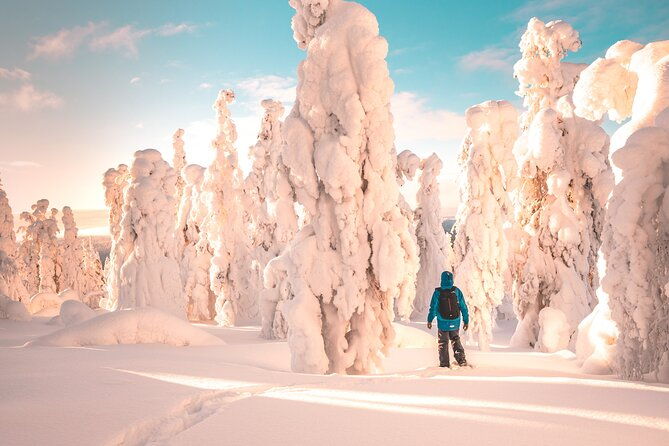 lapland-winter-experience-2
