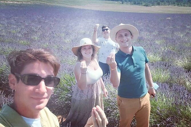 lavender-discovery-private-tour-in-provence