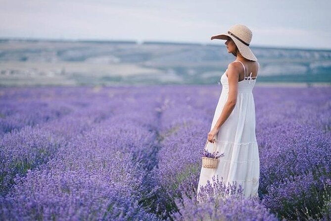 lavender-fields-full-day-private-tour-from-marseille