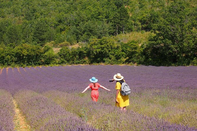 lavender-full-day-tour-in-sault-from-aix-en-provence