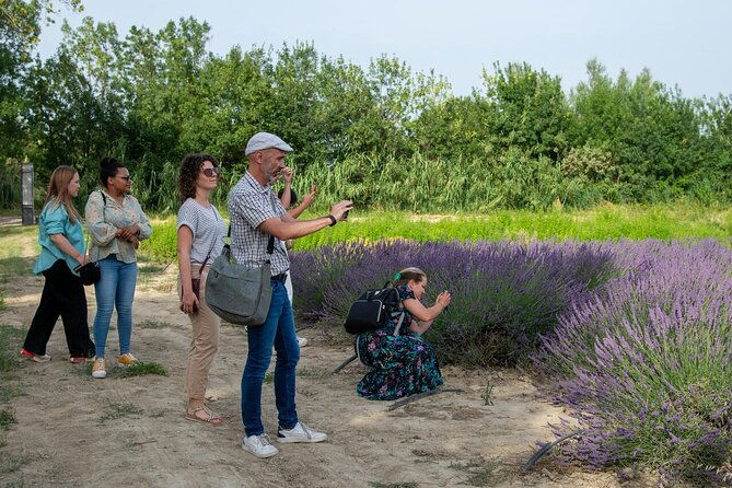 lavender-harvesting-and-distillation-workshop-in-bellegarde