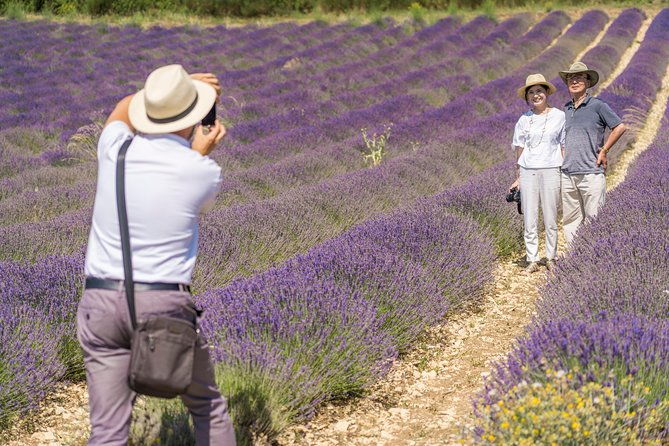 lavender-in-sault-small-group-half-day-trip