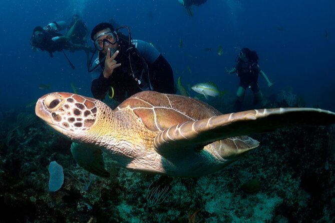 learn-to-scuba-dive-in-punta-cana