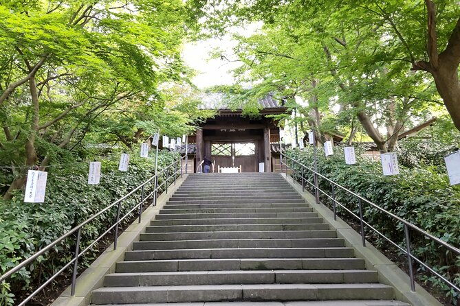 learning-history-of-kamakura-in-depth-with-a-certified-guide