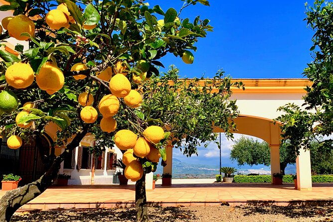 leave-the-city-behind-tour-with-guide-driver-starts-from-palermo