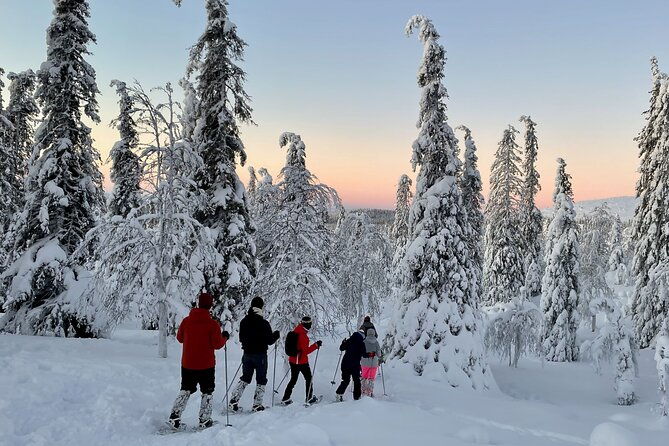 levi-snowshoeing-adventure-in-the-national-park-4