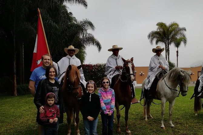 lima-premium-peruvian-horse-show-with-lunch-transfers