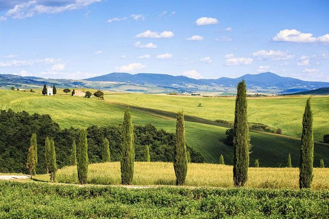 livorno-shore-excursion-bolgheri-and-supertuscan-private-tour