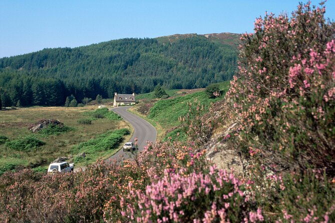 loch-lomond-national-park-stirling-castle-full-day-tour