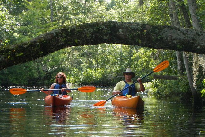 lofton-creek-kayaking-trip-with-professional-guide