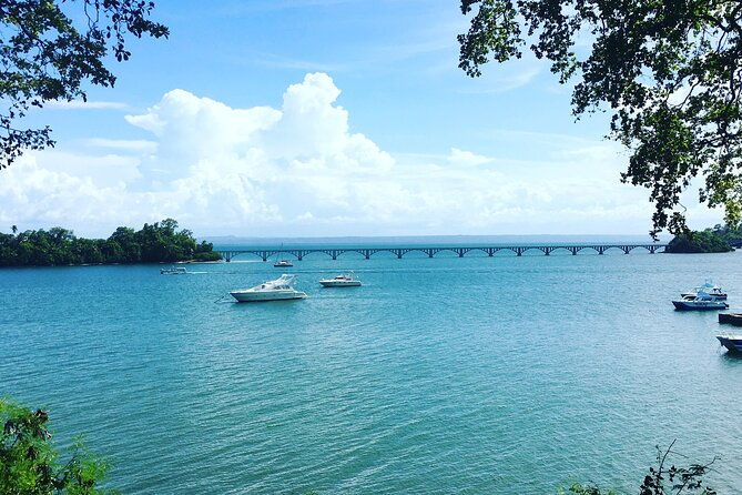 los-haitises-park-cayo-levantado-samana-unforgettable-journey