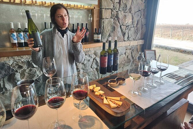 lujan-wine-tasting-guided-experience-with-lunch