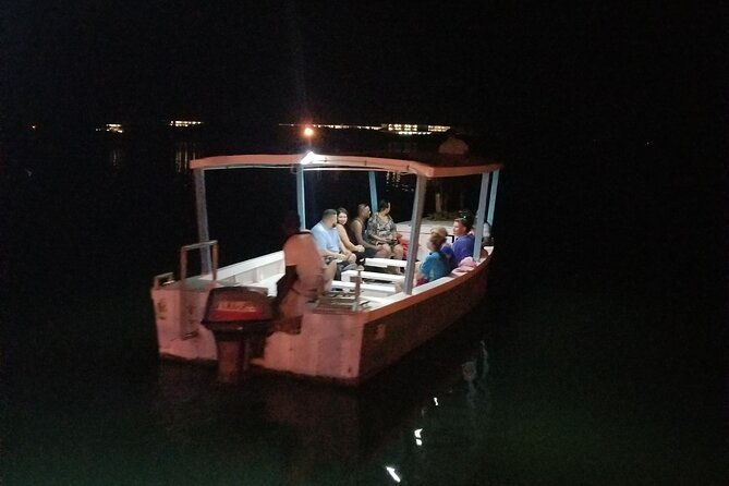luminous-lagoon-night-tour-from-montego-bay