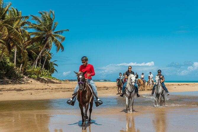 luquillo-beach-horse-ride-from-carabali-rainforest-adventure-park