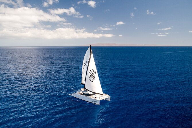 luxury-catamaran-royal-sunset-dinner-sail-adults-only-2