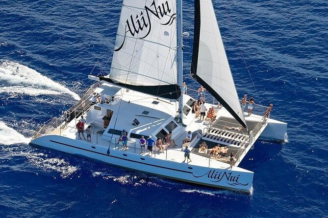 luxury-catamaran-whale-watch