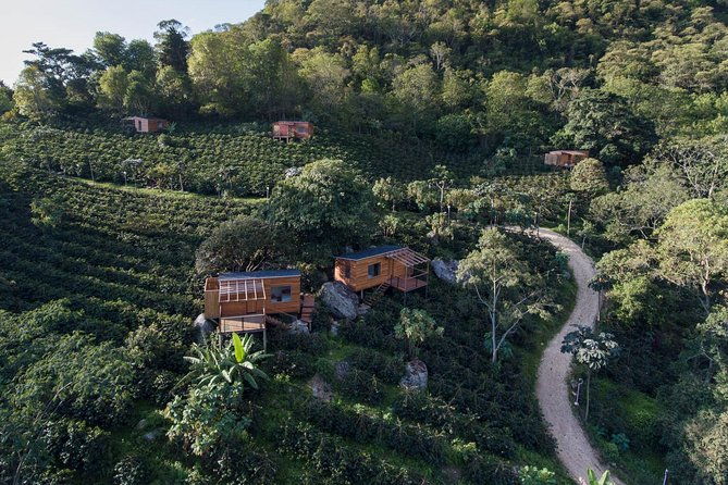 luxury-coffee-plantation-private-tour-9-hrs