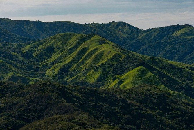 luxury-day-trip-off-the-beaten-path-to-monteverde-rain-forest